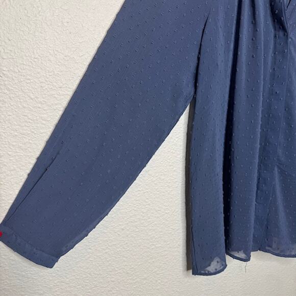 DR2 Blue Chiffon Clip Dot Sheer Button Front Blouse Sz Large - Picture 4 of 11